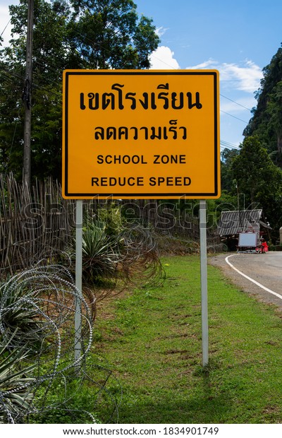 School zone reduce speed sign on tree and\
road background.