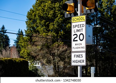 School Zone Speed Limit Sign In Front Of Trees