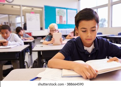 Schoolboy Reading At His Desk In An Elementary School Class