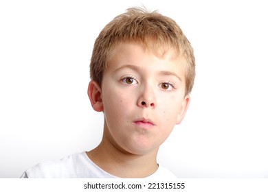 Schoolboy Studio Portrait Stock Photo 221315155 | Shutterstock