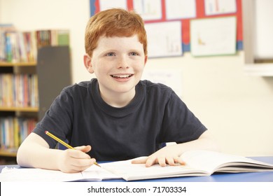 Schoolboy Studying In Classroom