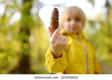 Schoolchild with backpack is hiking and exploring nature in the forest. Little boy travel in the sunny woodland. Child examines a fir cone. Autumn vacation for inquisitive kids in forest. Boy-scout. - Shutterstock ID 2195504415