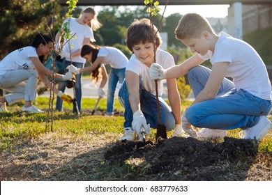Schoolchildren planting young fruit trees