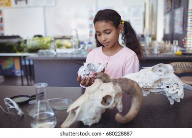 Schoolgirl holding animal skull at laboratory - Powered by Shutterstock