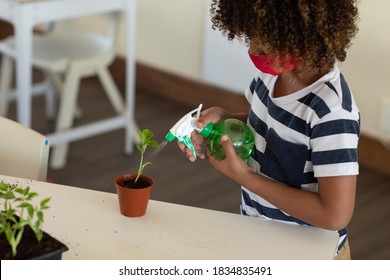 Schoolgirl wearing face mask, watering a plant in a class. Education back to school health safety during Covid19 Coronavirus pandemic. - Powered by Shutterstock