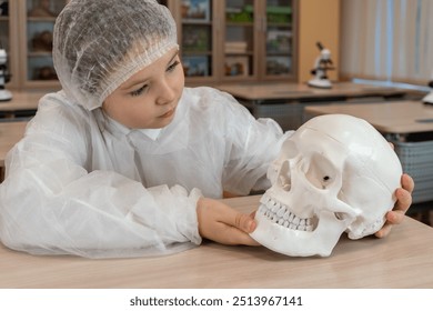 A schoolgirl in a white coat studies an anatomical model of a human skull in a school classroom. Anatomy lesson. High quality photo - Powered by Shutterstock