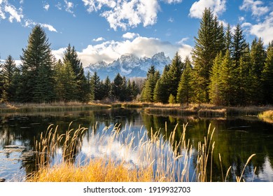 Schwabachar Landing Grand Teton National Park