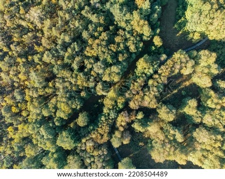 Schwarzes Moor, Deutschland - 09.30.2022: Aerial Footage of black Moore