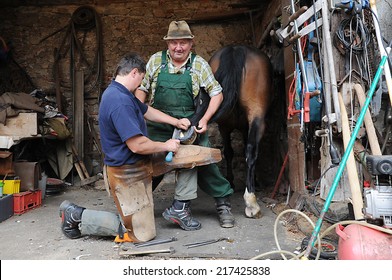 Schwarzhofen, Bavaria - September 02, 2014. Blacksmith, or equine farrier with the  horse owner at work while changing a horseshoe, before the start of autumn seasonal work 