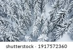 Schwarzwald Wald von oben. Tannen mit Schnee im Winter. 