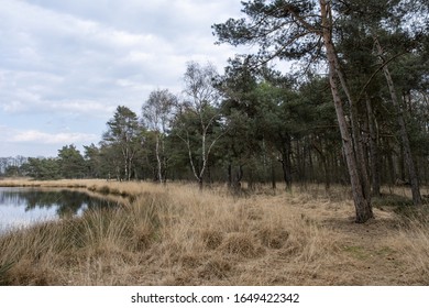 Schwatt Gatt, Nature Reserve, Germany