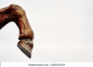 Schwerin, Germany - February 25, 2017: Horse leg with hoof on white background. Lots of space for your text.