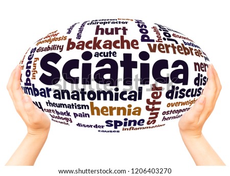 Sciatica word cloud hand sphere concept on white background.