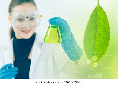 Science And Bio Technology Of Green Nature Herbal Extraction In Laboratory From Scientist.