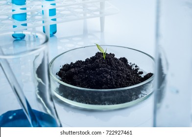 Science, Biology, Ecology, Research And People Concept - Close Up Of Scientist Hands Holding Petri Dish With Plant And Soil Sample In Bio Laboratory