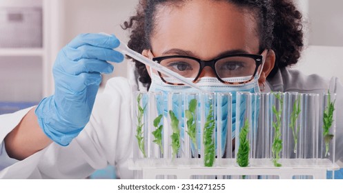 Science, biotechnology and plant with woman in laboratory for medical, pharmacy or research. Chemical, botany and healthcare study with scientist and test tube for sustainability, ecology or medicine - Powered by Shutterstock