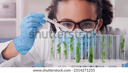 Science, biotechnology and plant with woman in laboratory for medical, pharmacy or research. Chemical, botany and healthcare study with scientist and test tube for sustainability, ecology or medicine