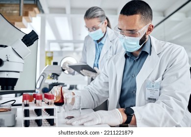 Science, Blood Sample And Dna Analysis, Laboratory Breakthrough And Medical Research. Professional Scientist, Red Beaker And Test Tube For Innovation, Genetics And Healthcare Vaccine Cure In Medicine