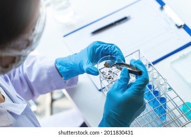 Science Experiment. Health Care Researchers Working In Life Science Laboratory.