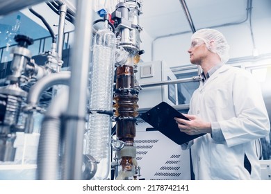 Science Lab Medical Factory Staff Working For Cannabis CBD Oil Extraction. Hemp Oil Extraction Thin Film Distillation Laboratory Plants Process.