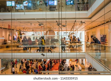 SCIENCE MUSEUM OF TRENTO, Italy, April 19, 2018: Expositive Interactive Spaces Of The Famous Museum Denominate MUSE. Renzo Piano Architect Building Workshop. Taxidermy Animals

