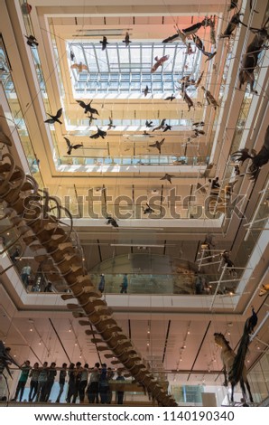 Science museum trento italy april 19 stock photo (edit now ... Interior design trento
