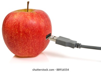 Science and nature symbiosis concept. apple and USB plug