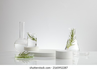 Science research on green leaf sample on beaker with fluid and petri dish with white podium in laboratory for develop , white background with glassware for laboratory advertising   - Shutterstock ID 2165952287
