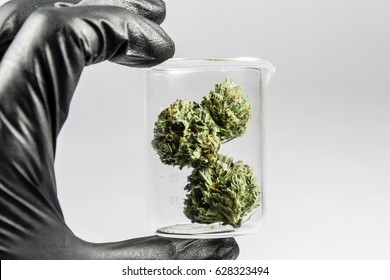 Science, Research, Technology And Cannabis -  The Increasingly Legal, Medical And Recreational Use Of Marijuana