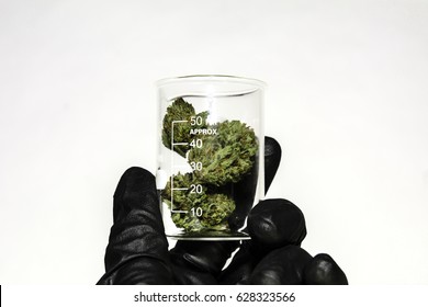 Science, Research, Technology And Cannabis -  The Increasingly Legal, Medical And Recreational Use Of Marijuana