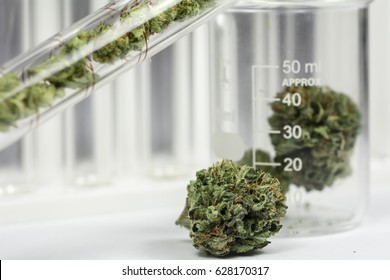 Science, Safety, Research, Technology And Cannabis -  The Increasingly Legal, Medical And Recreational Use Of Marijuana