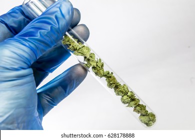 Science, Safety, Research, Technology and Cannabis -  The Increasingly Legal, Medical and Recreational Use of Marijuana