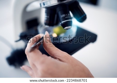 Science, scientist hand with tweezers and microscope with test sample zoom, research for scientific innovation in lab. Biotechnology or botany with doctor in lab and analysis with study closeup.