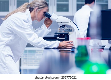 Science student working with microscope in the lab at the university