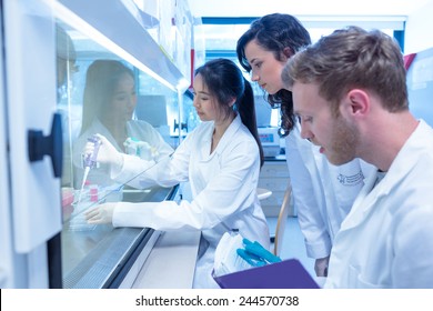 Science Students Using Pipette In The Lab At The University