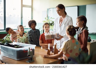 Science Teacher Holding Botany Class To Elementary Students In The Classroom.