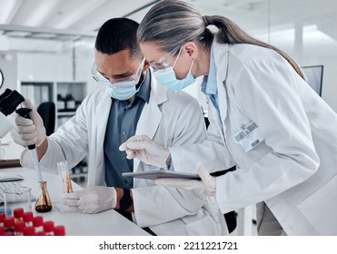 Science Team, Blood Sample And Dna Analysis, Laboratory Research And Medical Investigation. Scientist Collaboration, Dropper And Test Tube For Chemistry, Medical Genetics And Healthcare Covid Vaccine