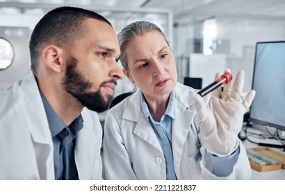 Science Team Or Scientist With DNA Blood For Vaccine Research Test, Analysis Or Investigation In Laboratory. Healthcare Worker Or Biotechnology Expert With A Sample For Teamwork In Medical Innovation