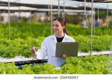 Science team working and researching in hydro and organic farm. Quality check, laboratory greenhouse concept. - Powered by Shutterstock