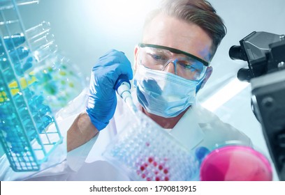 Science technician using a pipette with a microtiter plate and a petri dish while working in the laboratory