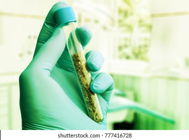 Science Technology And Cannabis