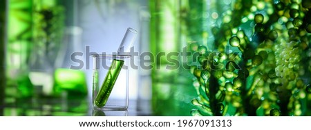 science technology research of green alga biofuel in laboratory, biotechnology industry with alternative natural experiment, biodiesel oil fuel energy from plant to sustainable environment