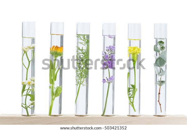 科学実験 試験管の花と植物 の写真素材 今すぐ編集