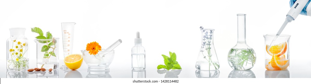 Scientific Experiment.Herbs,flower and orange  in test tubes - Shutterstock ID 1428114482