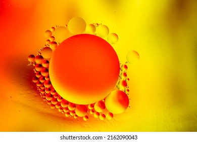 Scientific Image Of Cell Membrane. Macro Up Of Liquid Substances. Abstract Molecule Atom Sctructure. Water Bubbles. Macro Shot Of Air Or Molecule. Biology, Physics Or Chemistry Abstract Background