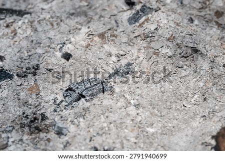 Scientific pattern of ash debris. Highresolution visualization of ash and cinder fragments. Precise depiction of ash bed with powdery grains and sharp contrasts