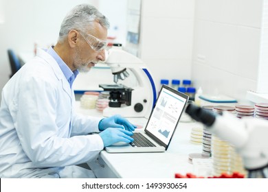 Scientific Project. Serious Grey-haired Man Sitting In Semi Position And Typing Article On His Laptop