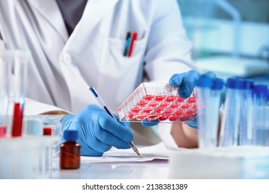 Scientist with Analysis to tissues and writes down the data result in the report. Researcher working with samples of tissue culture in microplate and registering data in the genetics laboratory
