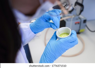 Scientist Analysis The Total Solids Experiment By Using Filter Paper And Suction Method For Determination Waste Water Sample In Laboratory.