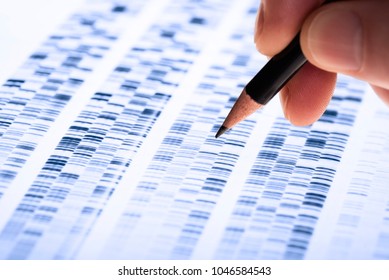 Scientist analyzes DNA gel used in genetics, forensics, drug discovery, biology and medicine. - Shutterstock ID 1046584543